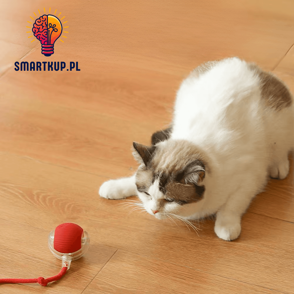 PlayBall Go - Interaktywna piłeczka dla psów i kotów