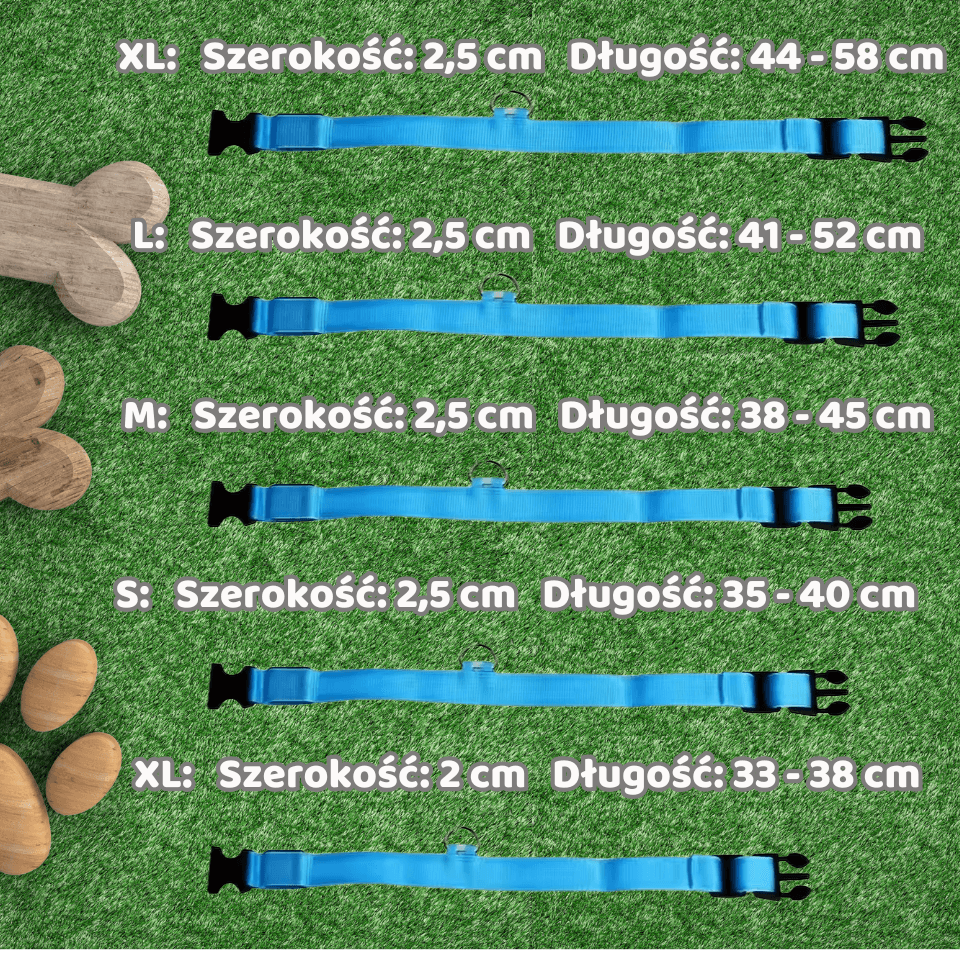 Obroża LED – widoczność i ochrona